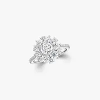 Ring Cluster — thumbnail 1