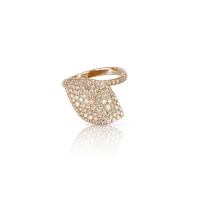 Ring Aleluiá — thumbnail 1