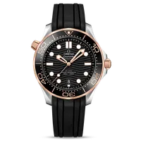 Diver 300M Co‑axial Master Chronometer 42 MM