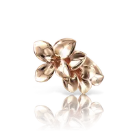 Ring Stelle In Fiore