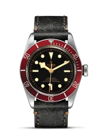 Black Bay 41