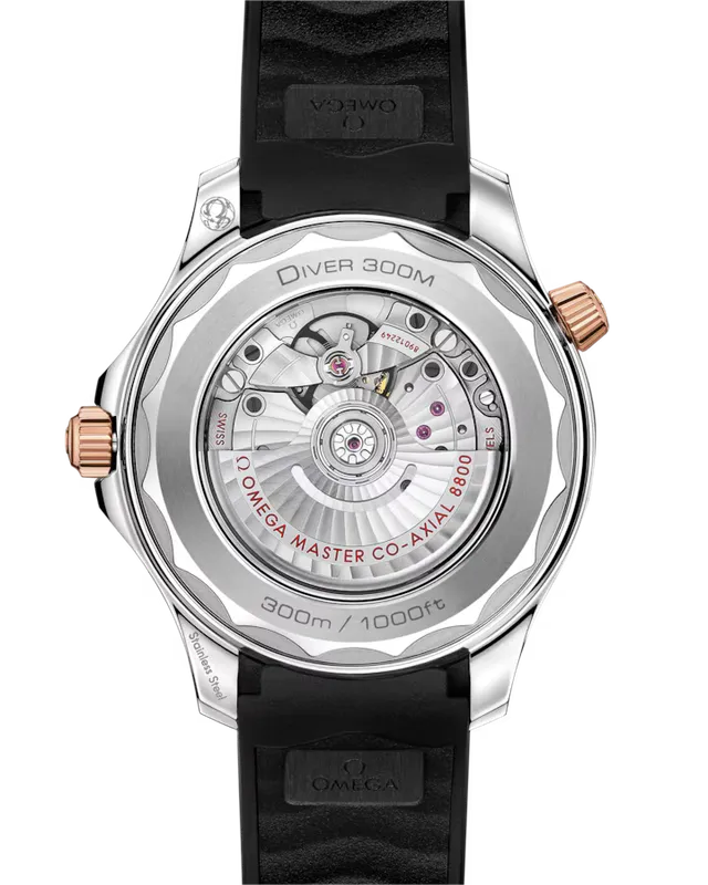 Diver 300M Co‑axial Master Chronometer 42 MM — detail