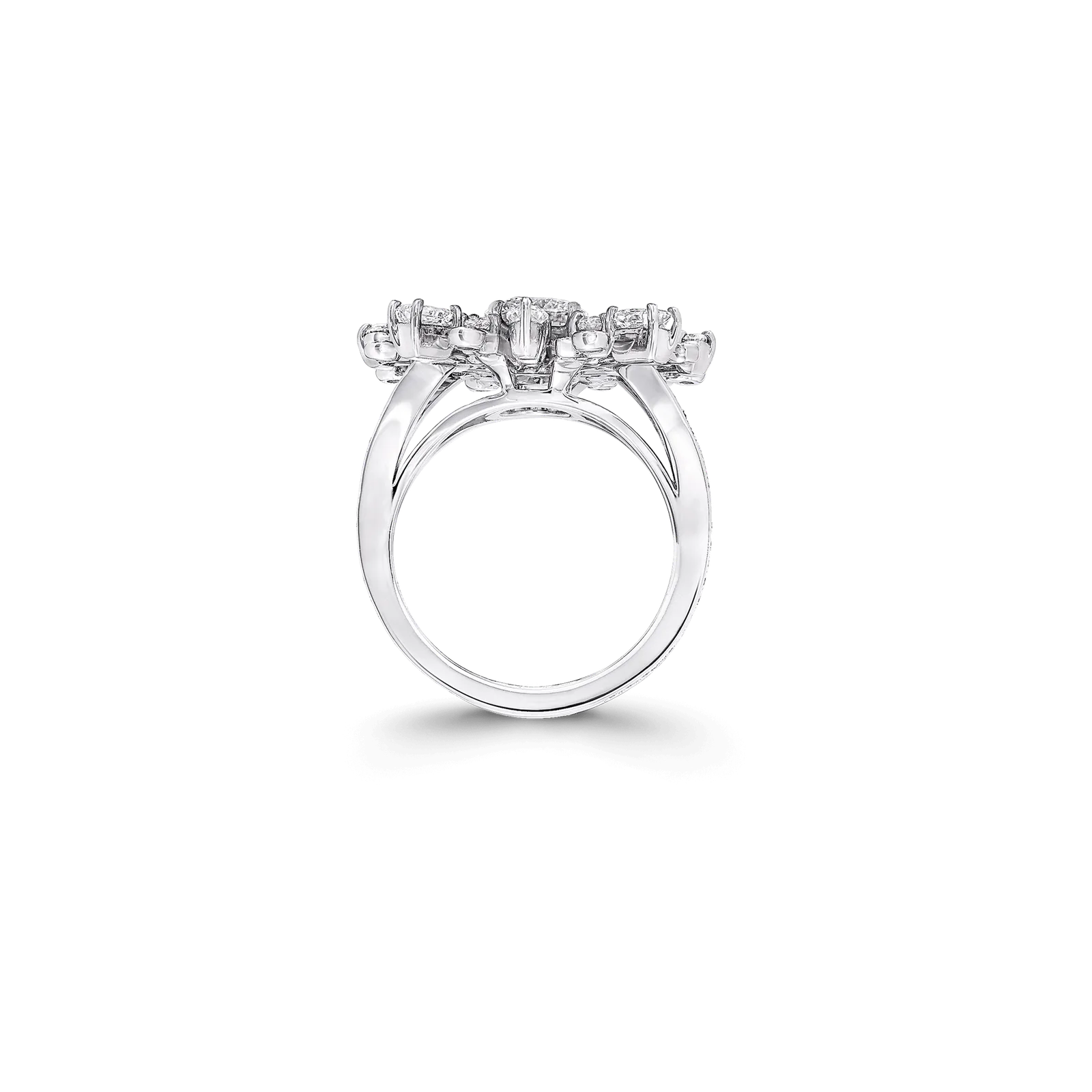 Ring New Dawn Multi-Shape — 3