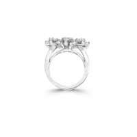 Ring New Dawn Multi-Shape — thumbnail 3