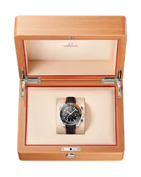Seamaster Planet Ocean 600M — thumbnail 3