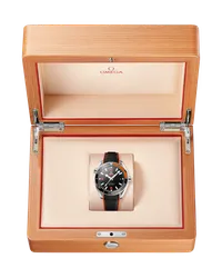 Planet Ocean 600M Omega Co‑axial Master Chronometer 43.5 MM — thumbnail 4