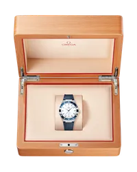 Constellation Co‑axial Master Chronometer 41 MM — thumbnail 4