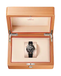 Diver 300M Co‑axial Master Chronometer 42 MM — thumbnail 5