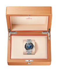 Seamaster Planet Ocean 6000M — thumbnail 6