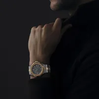 Alpine Eagle 41 — thumbnail 6