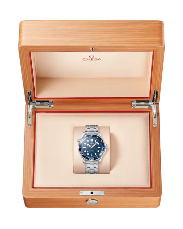 Seamaster Diver 300M — 8