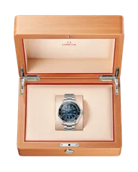 Seamaster Planet Ocean 6000M — thumbnail 8