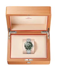 Seamaster Diver 300M — thumbnail 8