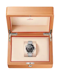 Seamaster Diver 300M — thumbnail 8